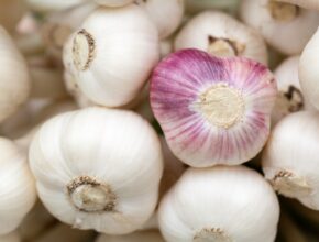 Kann Knoblauch giftig sein? (Quelle: Pixabay.com)