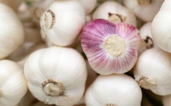 Kann Knoblauch giftig sein? (Quelle: Pixabay.com)