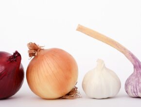 Knoblauch und Zwiebeln: Knoblauch Geruch loswerden (Quelle: Pixabay.com)