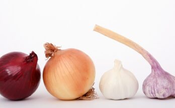 Knoblauch und Zwiebeln: Knoblauch Geruch loswerden (Quelle: Pixabay.com)