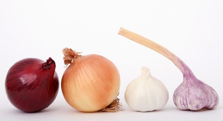 Knoblauch und Zwiebeln: Knoblauch Geruch loswerden (Quelle: Pixabay.com)