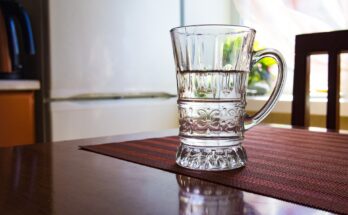 Nosferatu Spinne mit Glas einfangen (Quelle: Pixabay.com)