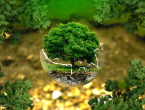5 Fakten über die Umwelt (Quelle: Pixabay.com)